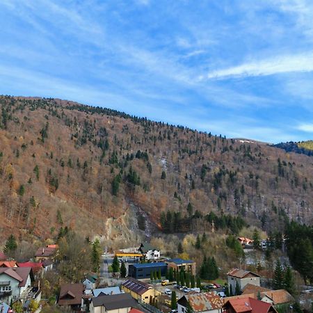 Apartament Panoramic View Sinaia 아파트 외부 사진