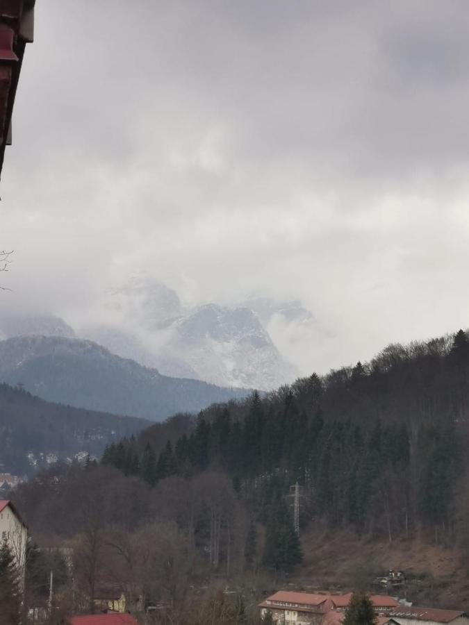 Apartament Panoramic View Sinaia 아파트 외부 사진
