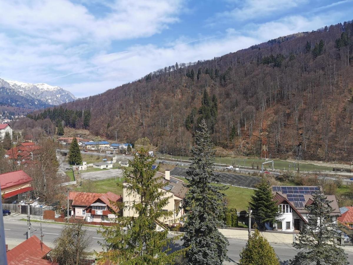 Apartament Panoramic View Sinaia 아파트 외부 사진