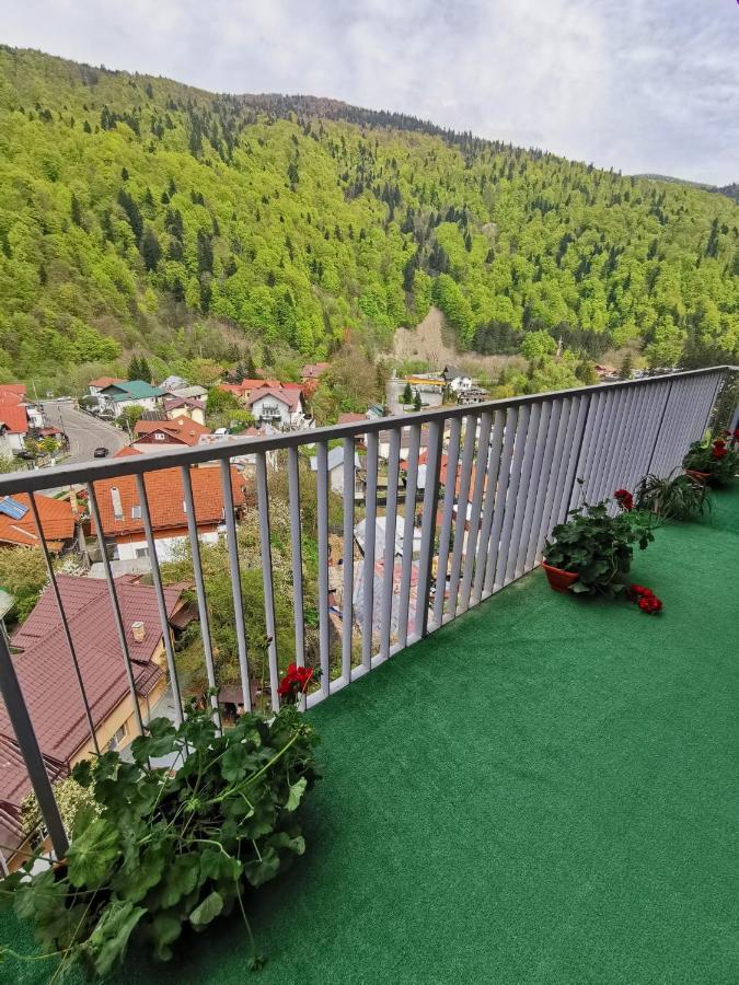 Apartament Panoramic View Sinaia 아파트 외부 사진