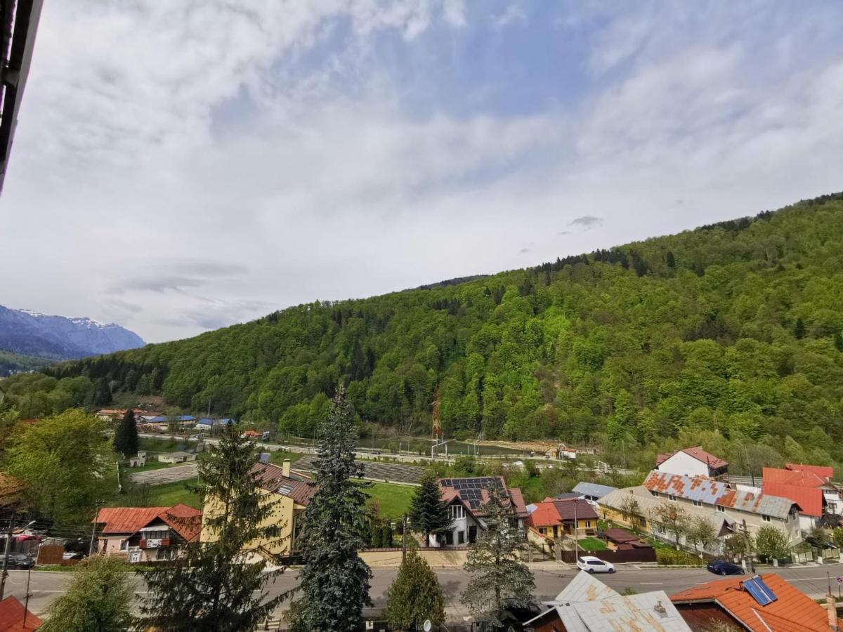 Apartament Panoramic View Sinaia 아파트 외부 사진