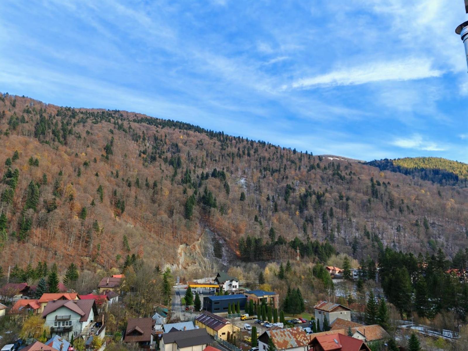 Apartament Panoramic View Sinaia 아파트 외부 사진