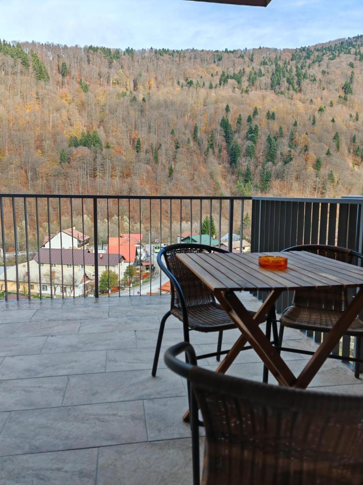 Apartament Panoramic View Sinaia 아파트 외부 사진