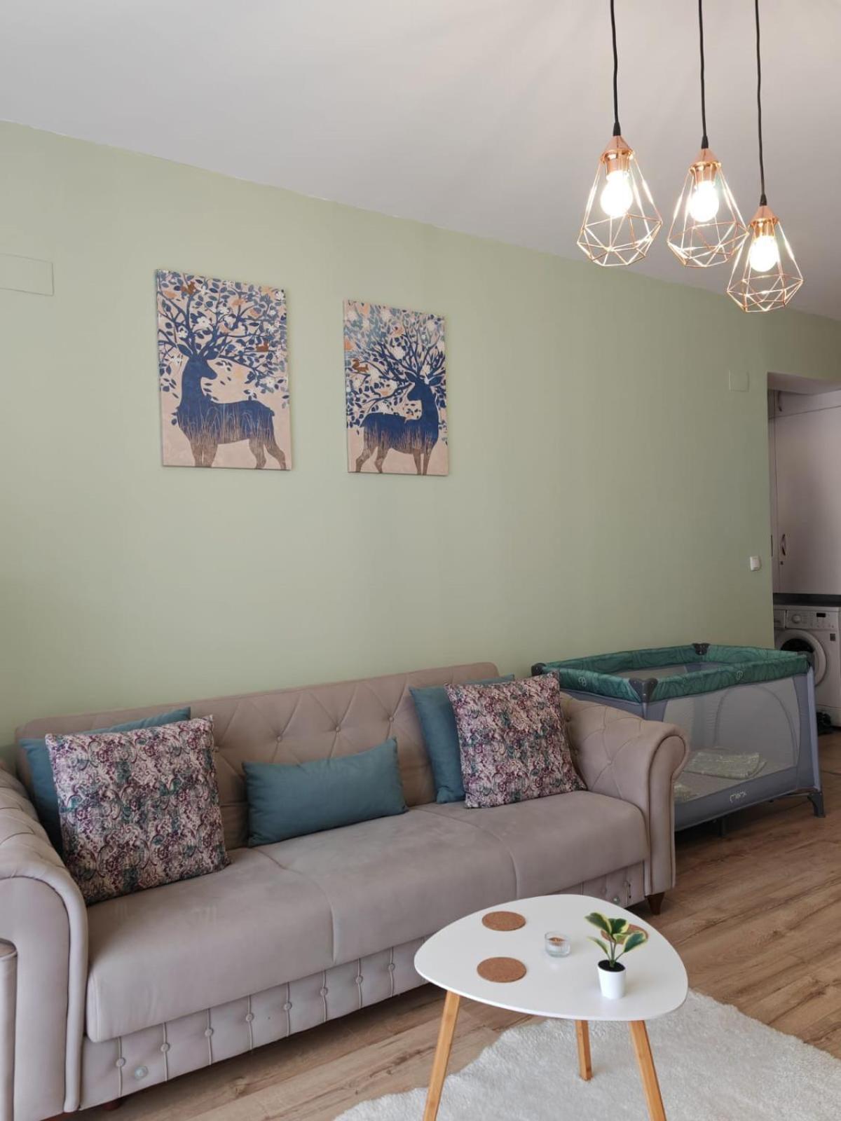 Apartament Panoramic View Sinaia 아파트 외부 사진